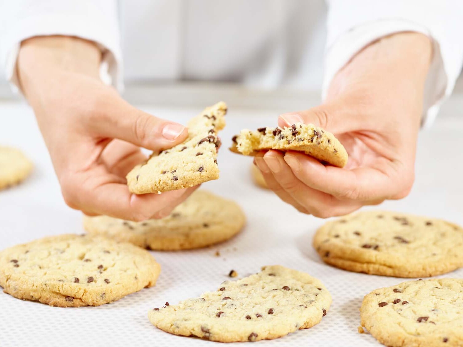 Hände einer Mitarbeiterin brechen einen frisch gebackenen Chocolate-Chip-Cookie zur Qualitäts- und Produktprüfung auseinander.
